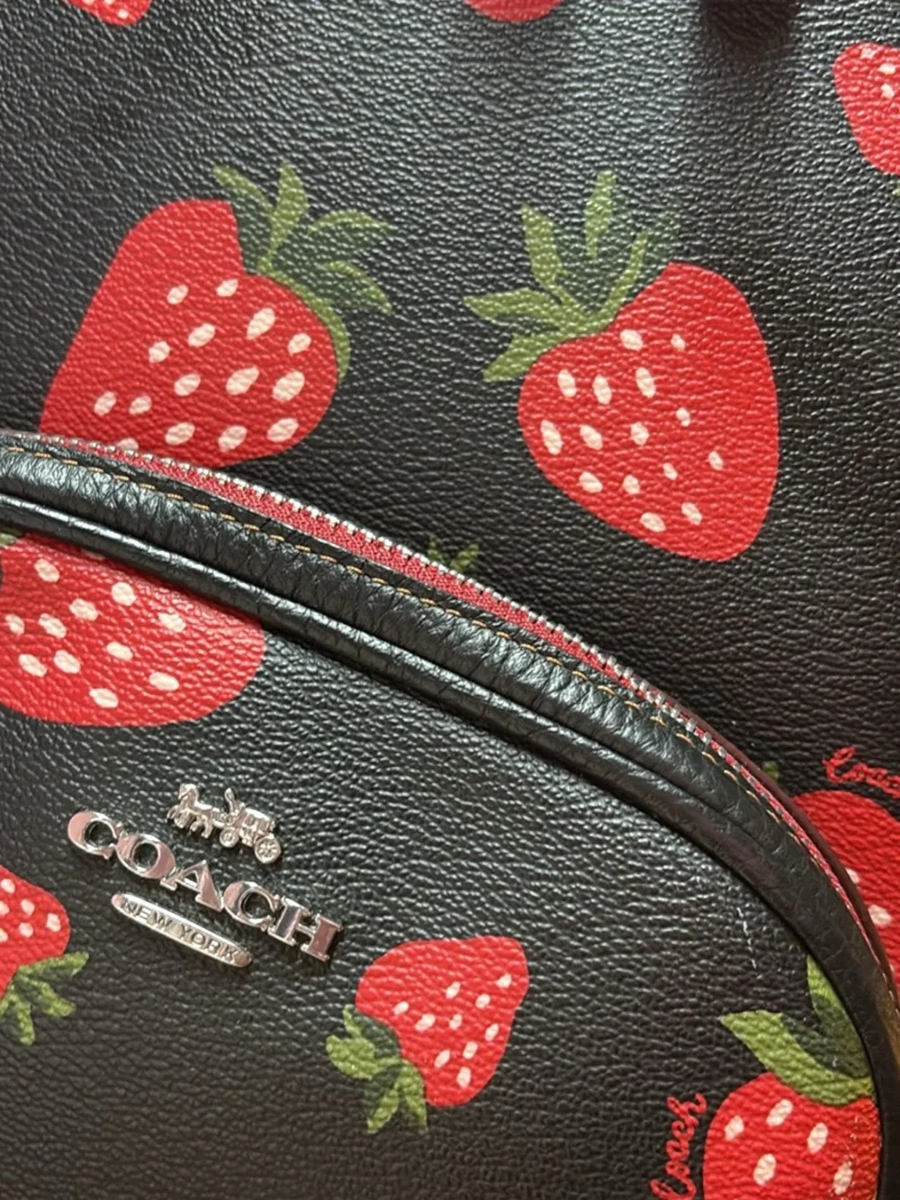 Coach Black Mini Backpack with Red Strawberry Print